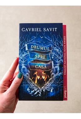 Copertă produs Drumul spre casă | paperback