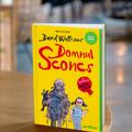 Copertă produs Domnul Sconcs | paperback - gallery small 