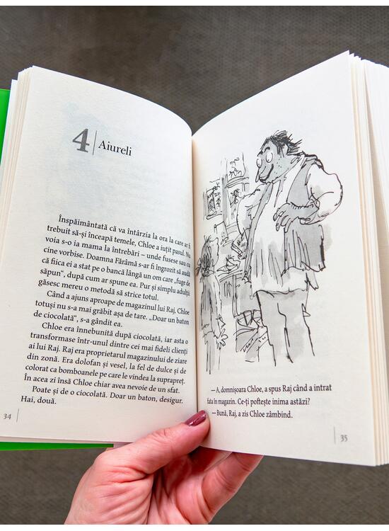 Copertă produs Domnul Sconcs | paperback - gallery big 4