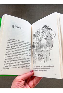Copertă produs Domnul Sconcs | paperback