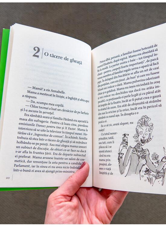 Copertă produs Domnul Sconcs | paperback - gallery big 5