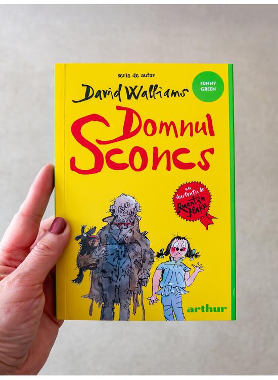 Copertă produs Domnul Sconcs | paperback - gallery big 6