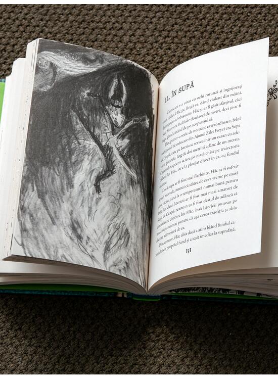 Copertă produs Cum să-ți dresezi dragonul #4. Cum să păcălești blestemul unui dragon - gallery big 5