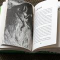 Copertă produs Cum să-ți dresezi dragonul #4. Cum să păcălești blestemul unui dragon - gallery small 