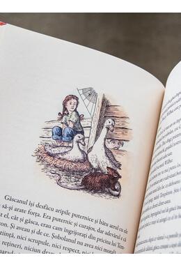 Copertă produs P&acirc;nza Charlottei | format mare