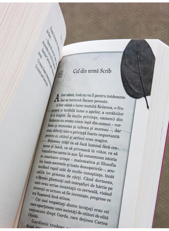 Copertă produs Vorbitoarea | paperback - gallery big 5