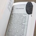Copertă produs Vorbitoarea | paperback - gallery small 