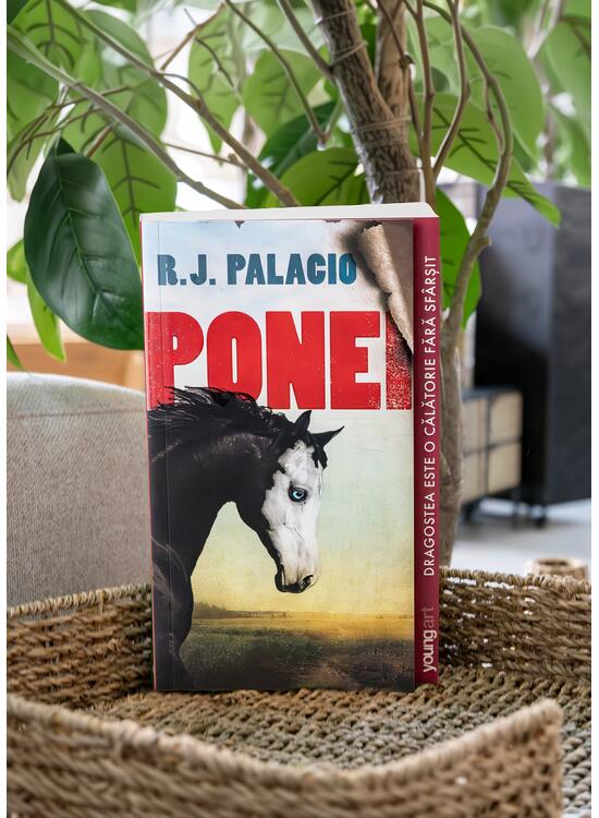 Copertă produs Ponei | paperback - gallery big 3