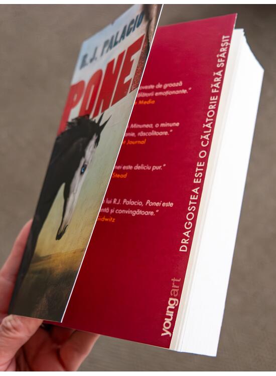 Copertă produs Ponei | paperback - gallery big 4