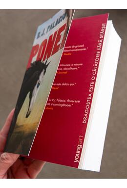 Copertă produs Ponei | paperback