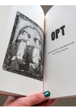 Copertă produs Ponei | paperback