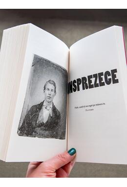 Copertă produs Ponei | paperback