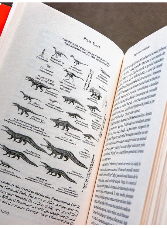 Copertă produs Dragul meu brontozaur - gallery big 5