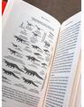 Copertă produs Dragul meu brontozaur - thumb 5