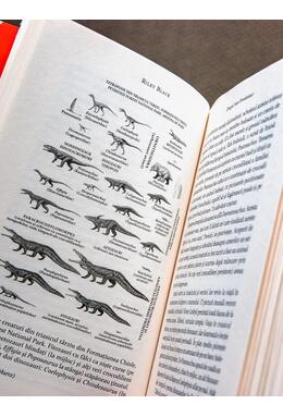 Copertă produs Dragul meu brontozaur