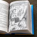 Copertă produs Băiatul nou-nouț - gallery small 