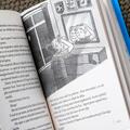 Copertă produs Băiatul nou-nouț - gallery small 