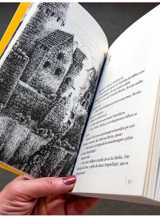 Copertă produs Ronia, fată de t&acirc;lhar | paperback - gallery big 4