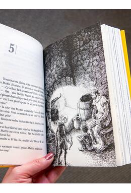 Copertă produs Ronia, fată de t&acirc;lhar | paperback