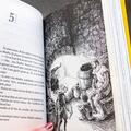 Copertă produs Ronia, fată de t&acirc;lhar | paperback - gallery small 