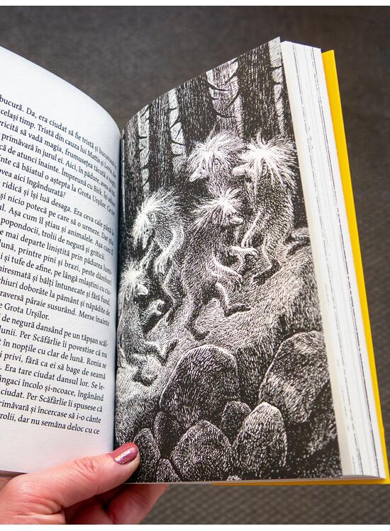 Copertă produs Ronia, fată de t&acirc;lhar | paperback - gallery big 7