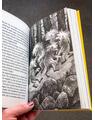 Copertă produs Ronia, fată de t&acirc;lhar | paperback - thumb 7