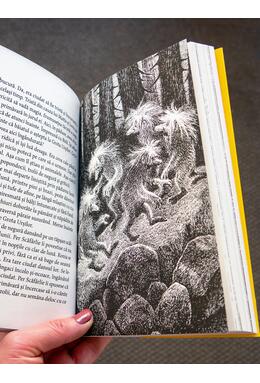 Copertă produs Ronia, fată de t&acirc;lhar | paperback