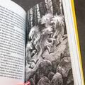 Copertă produs Ronia, fată de t&acirc;lhar | paperback - gallery small 