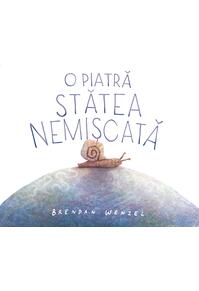 Copertă produs O piatră stătea nemișcată