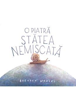 Copertă produs O piatră stătea nemișcată