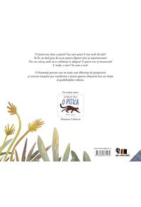 Copertă produs O piatră stătea nemișcată
