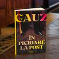 Copertă produs &Icirc;n picioare la post - gallery small 
