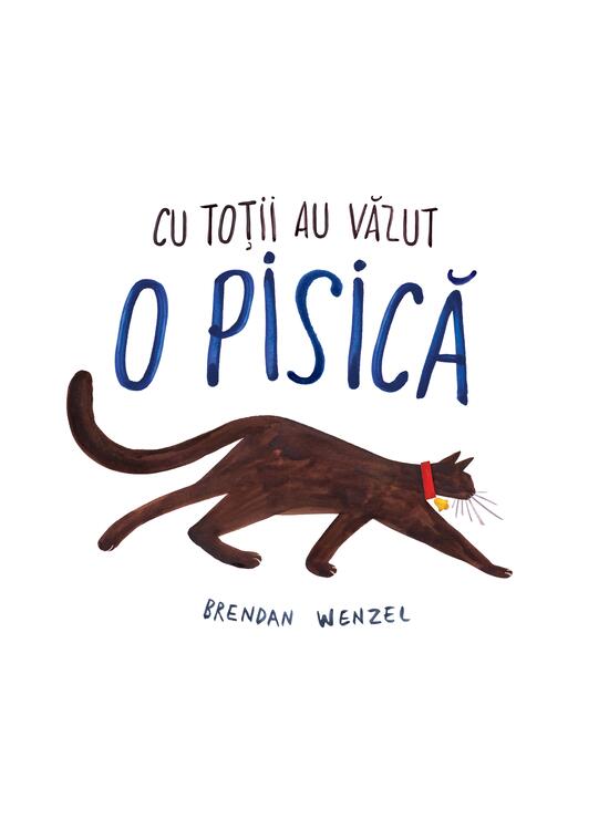Copertă produs Pachet imaginație (O piatră stătea nemișcată, Cu toții au văzut o pisică) - gallery big 4