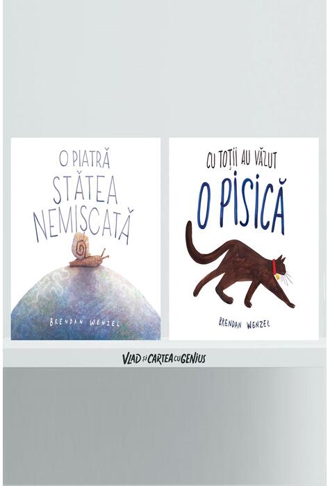Copertă produs Pachet imaginație (O piatră stătea nemișcată, Cu toții au văzut o pisică)