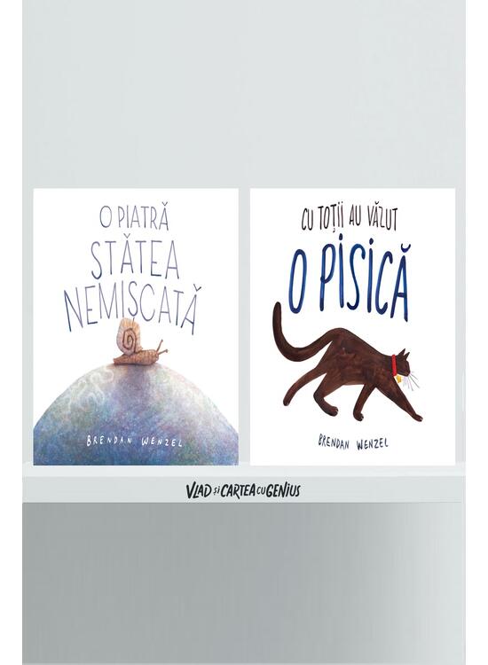 Copertă produs Pachet imaginație (O piatră stătea nemișcată, Cu toții au văzut o pisică) - gallery big 1