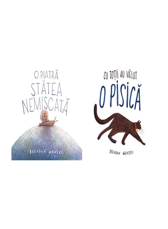Copertă produs Pachet imaginație (O piatră stătea nemișcată, Cu toții au văzut o pisică) - gallery big 5