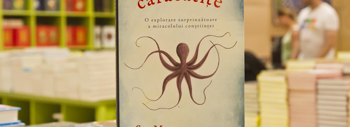 Caracatițele sunt mai mult decât monștrii din literatură și cinematografie