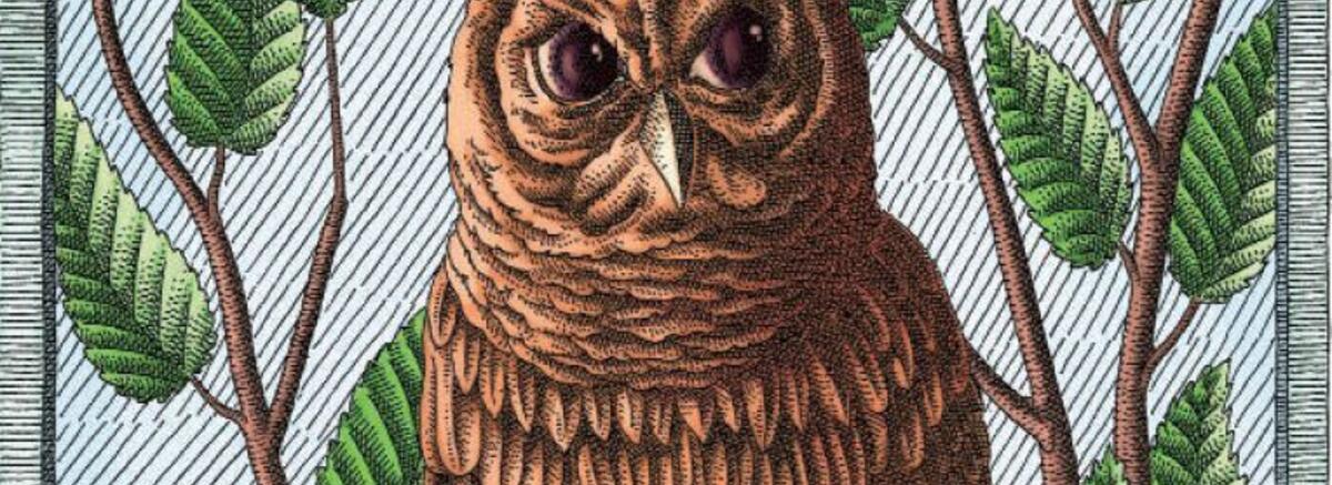 Cărți care-ți pot stabili următoarea destinație de vacanță