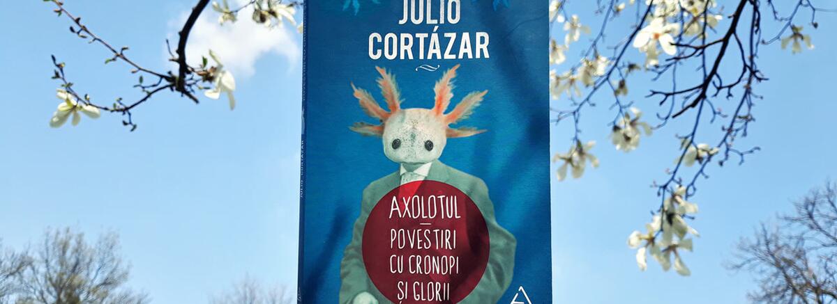 Imaginație la puterea a zecea: proză scurtă de Julio Cort&aacute;zar