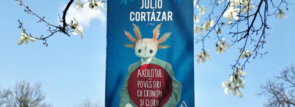 Imaginație la puterea a zecea: proză scurtă de Julio Cort&aacute;zar