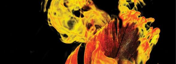 5 pași ca să ajungi milionar din SF &ndash; varianta Pierce Brown