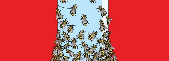 Puzzle marca Dahl