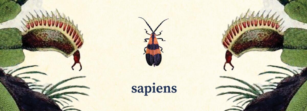 Noua ordine veche a lumii vegetale