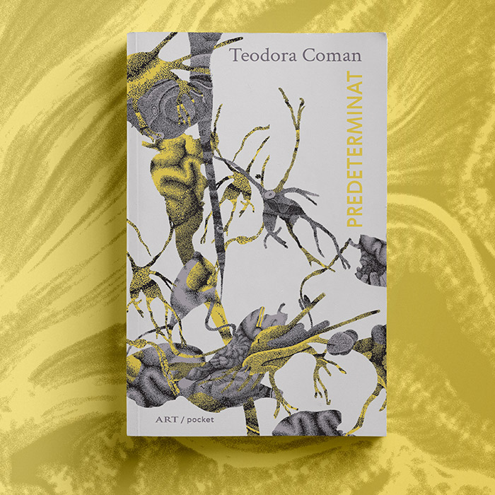 Simulare volumul predeterminat de Teodora Coman