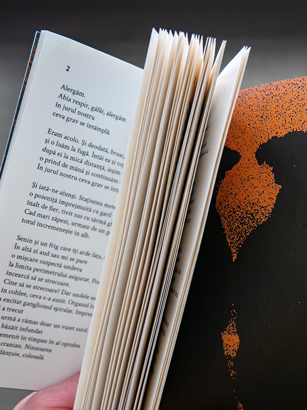 fotografie interior NVRN (Nu va rămâne nimic) de Liviu Diamandi și Dmitri Miticov