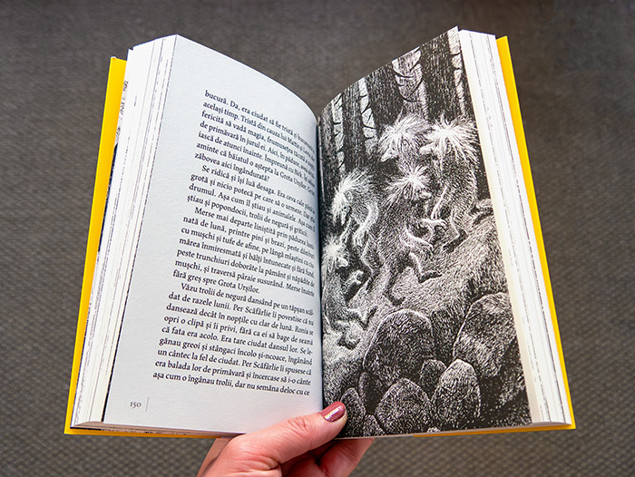 fotografie interior Ronia, fata de talhar de Astrid Lindgren fotografie interior Ronia, fata de talhar de Astrid Lindgren